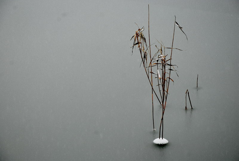 dsc_0563.jpg