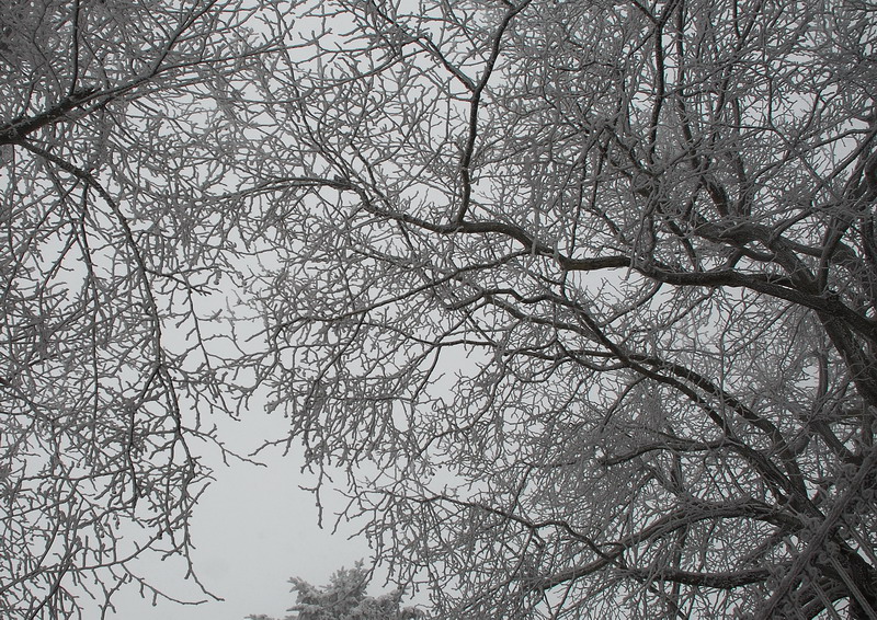 dsc_0567.jpg