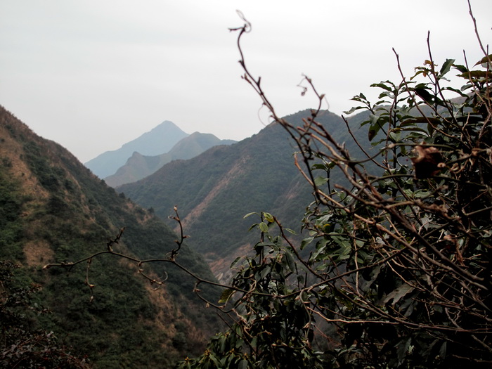 img_0118_调整大小.jpg