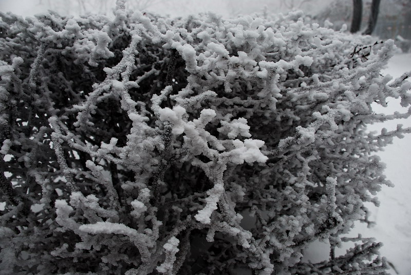 dsc_0583.jpg