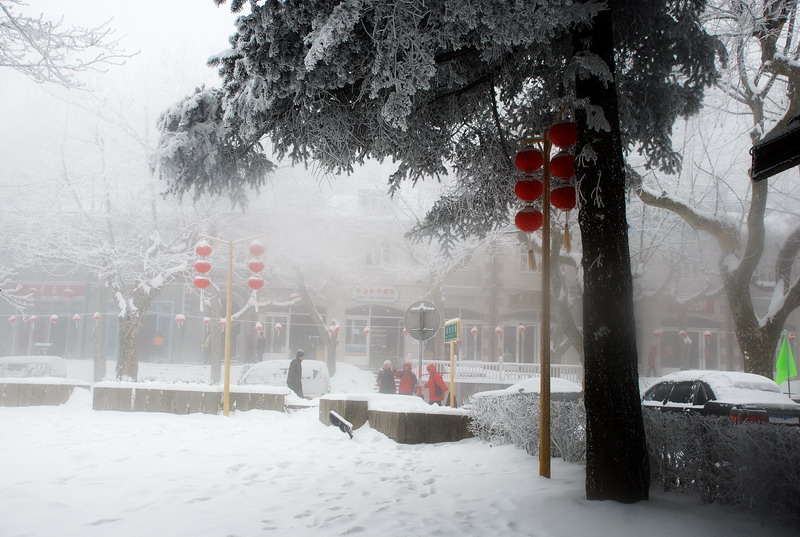 dsc_0658.jpg