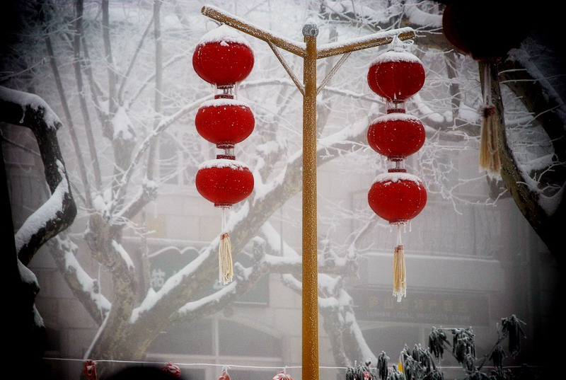 dsc_0660.jpg
