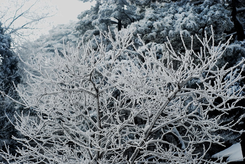 dsc_0697.jpg