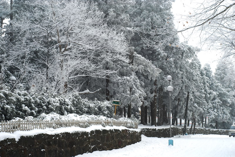 dsc_0685.jpg
