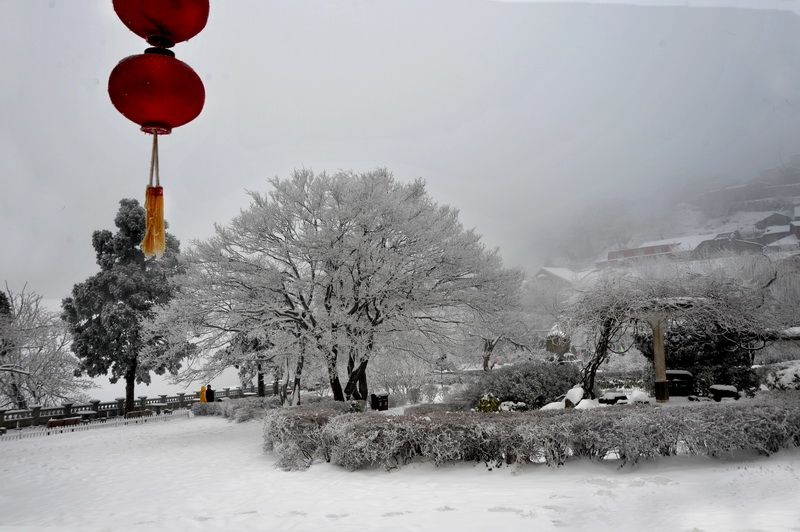 dsc_3089_С.jpg