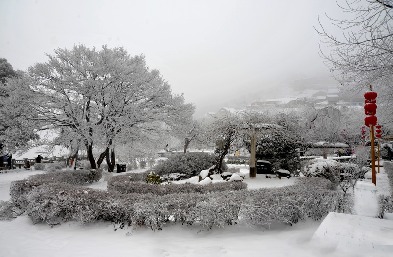 dsc_3092_С.jpg