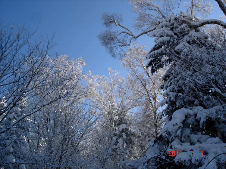 dsc03224fu.jpg