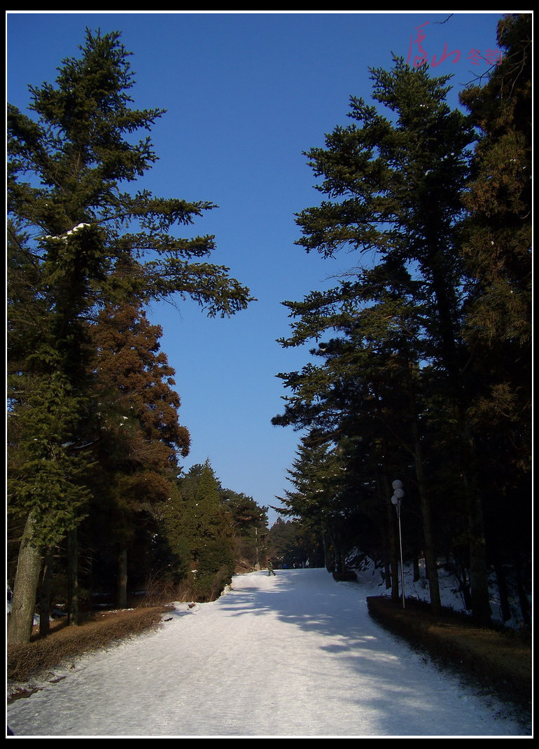 20110108ѩ®ɽgٺ (11).jpg