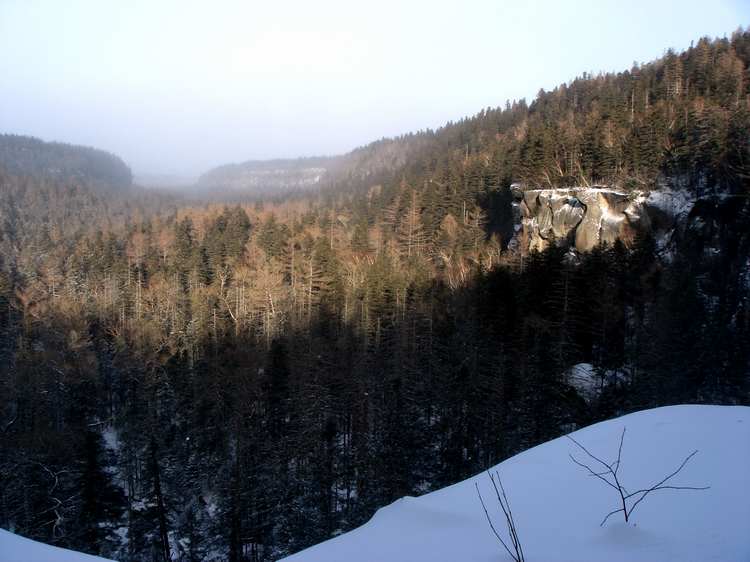 dsc06640fu.jpg