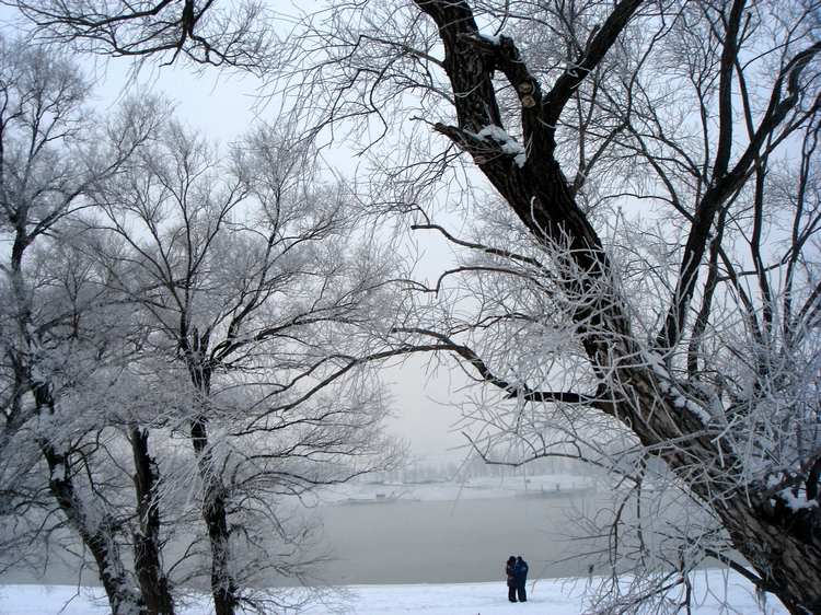 dsc06696fu.jpg