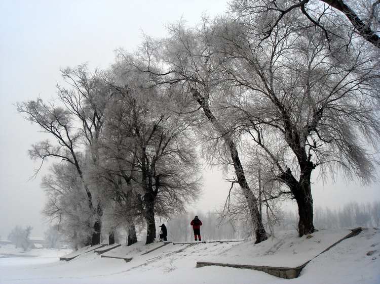 dsc06712fu.jpg