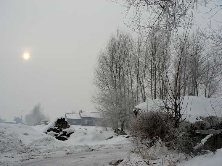 dsc06752fu.jpg