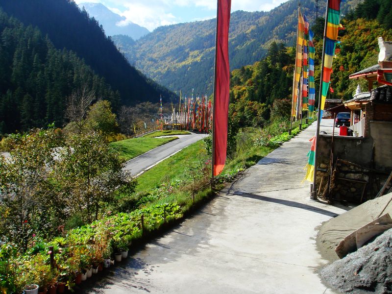 dsc08300.jpg