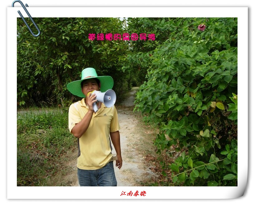 dscn5952_.jpg