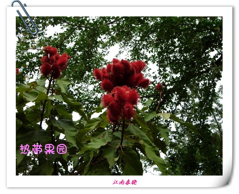 neo_img_dscn5956_.jpg
