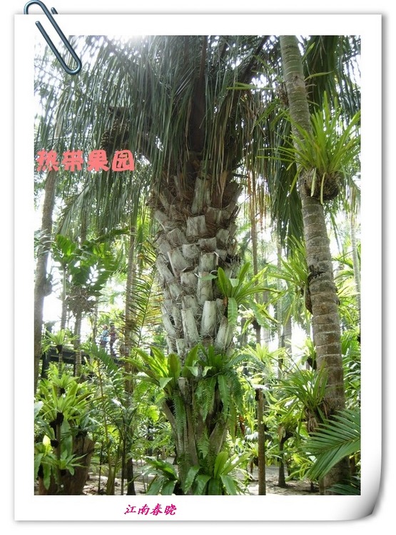 dscn6047_.jpg