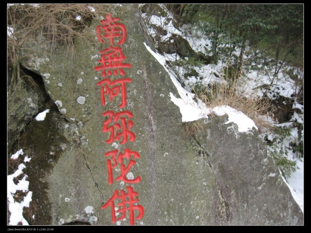 100_0276 .jpg