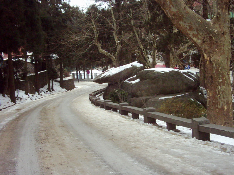 dsci0003.jpg