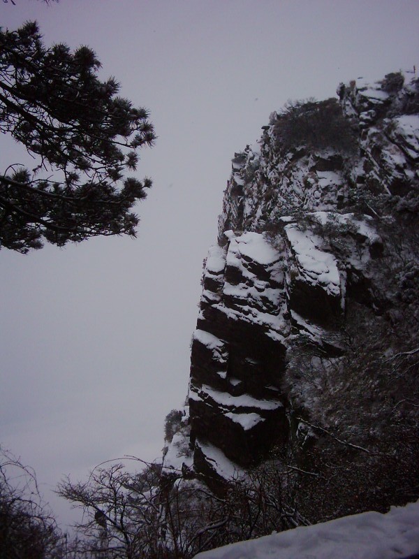 dsci0120.jpg