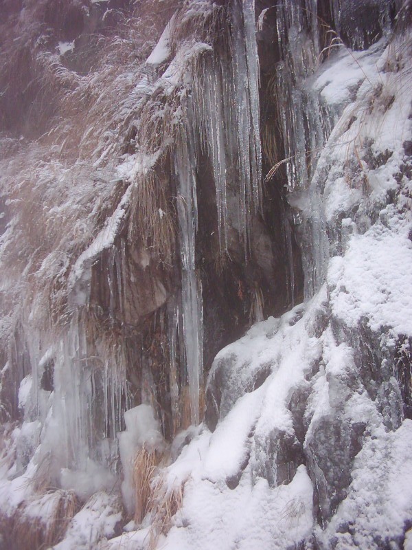 dsci0236.jpg