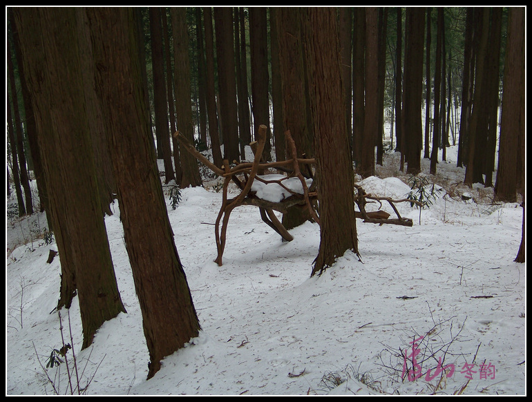 20110109ѩ®ɽm (21).jpg