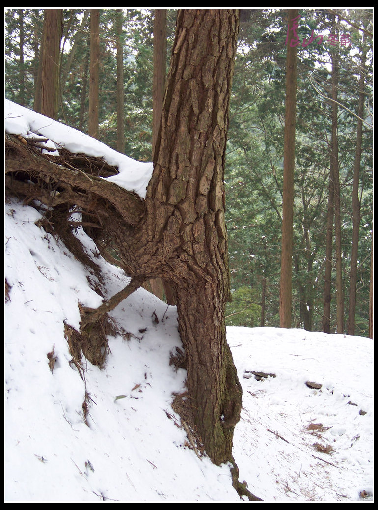 20110109ѩ®ɽm (22).jpg