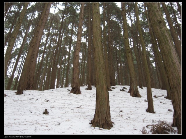 100_0286 .jpg