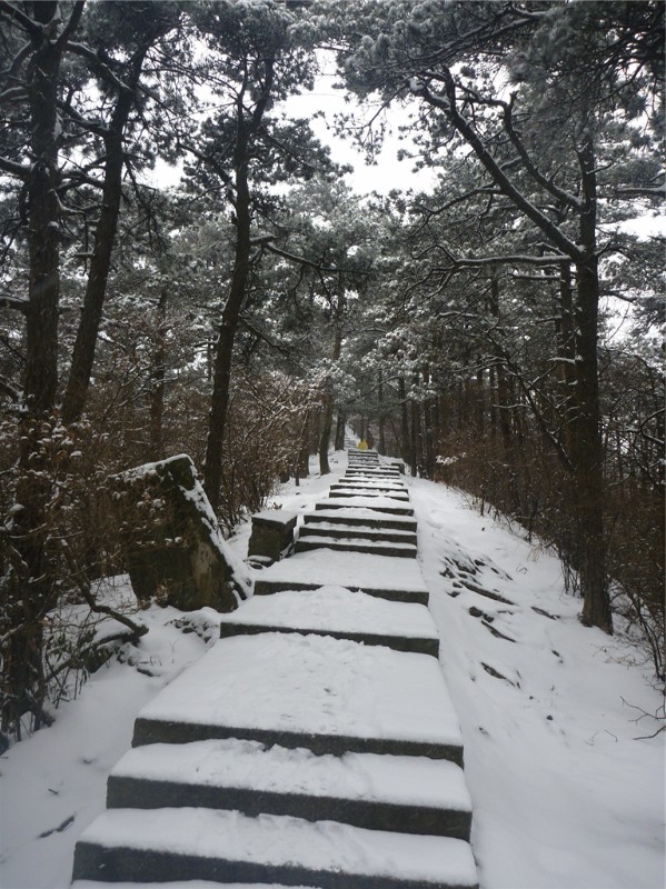 p1040350_.jpg