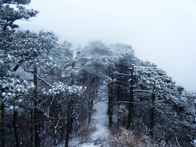 dscf1834.jpg