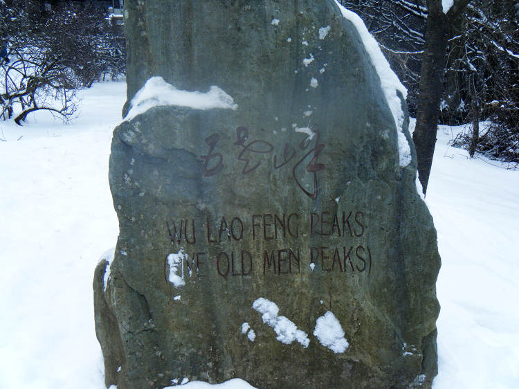 dscf1843.jpg