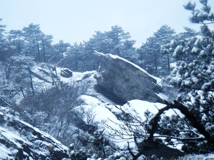 dscf1889.jpg