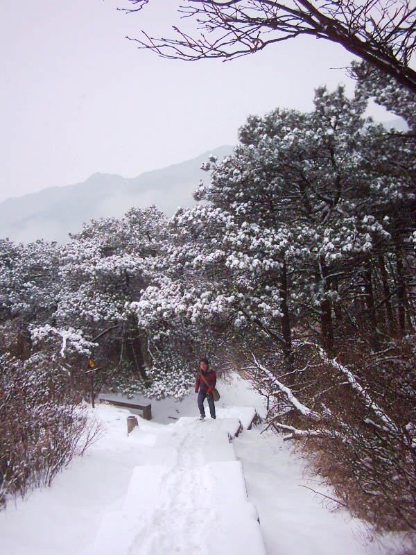 dsci0095.jpg