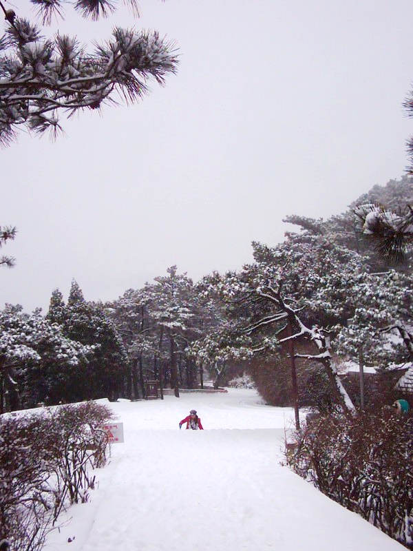 dsci0079.jpg
