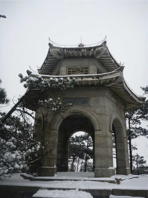 p1040416_.jpg