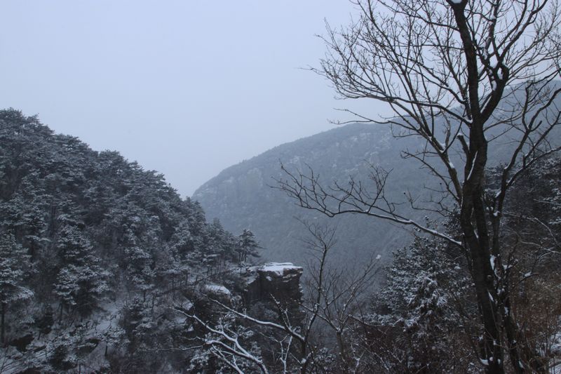 img_6878.jpg