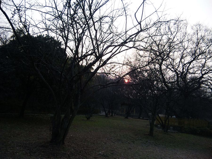 neo_img_dvc00115.jpg