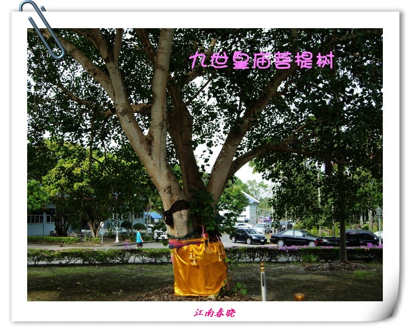 neo_img_dscn6000_.jpg