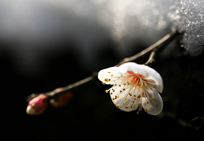 照片 238.jpg
