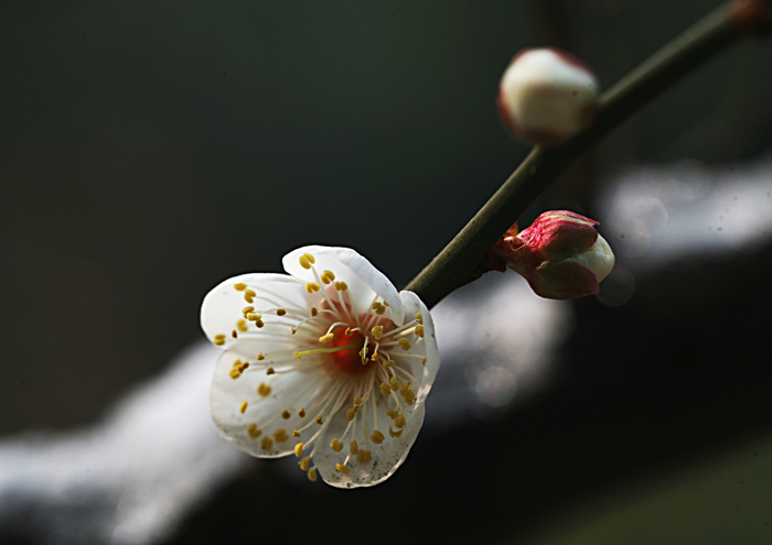 照片 153.jpg
