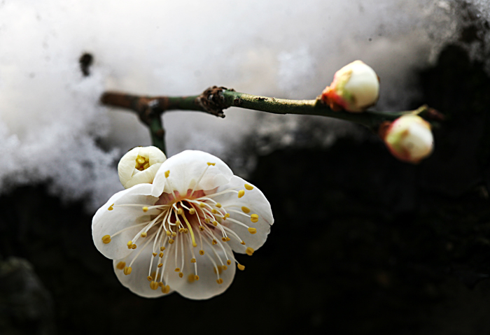 照片 175.jpg