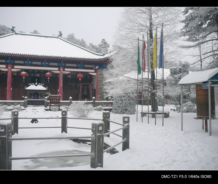 p1320129-1.jpg