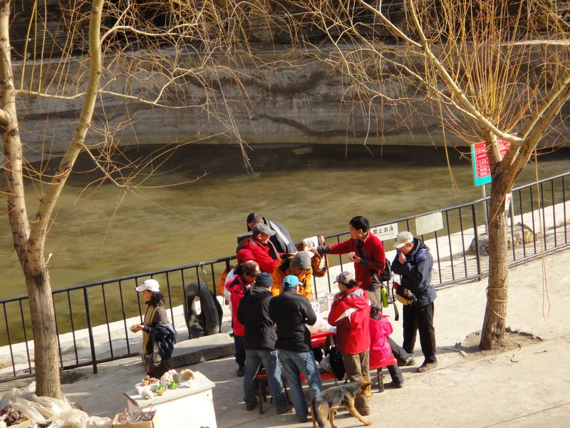 dsc01515.jpg
