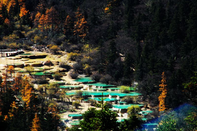 dsc_5407.jpg