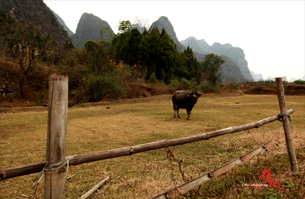 Ƭ 033-1.jpg