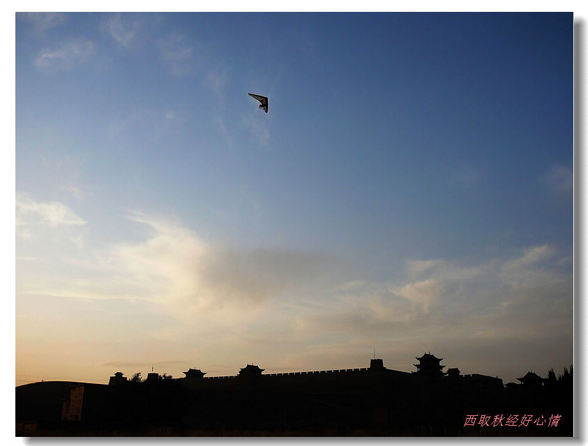 p1370115-+1.jpg