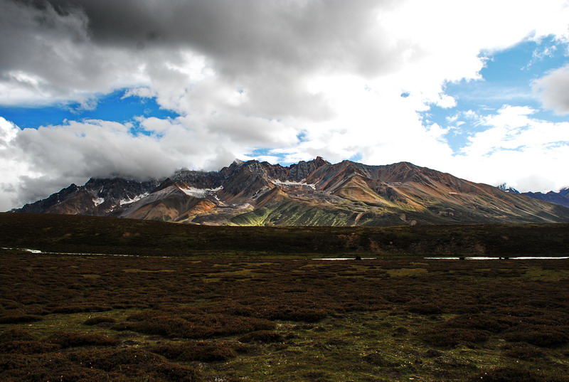 dsc_0186.jpg