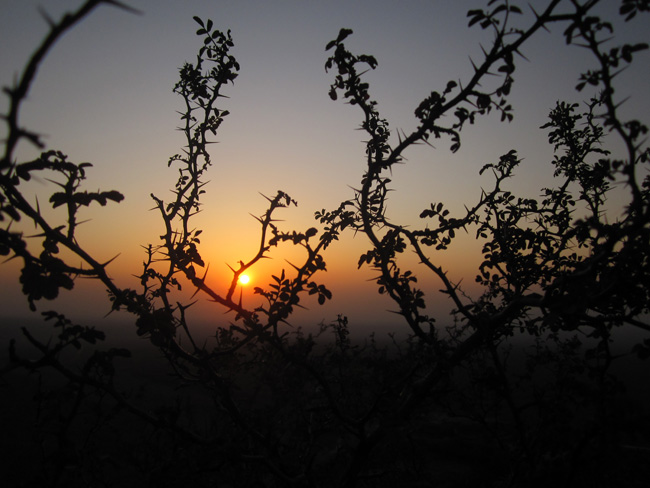 img_4962.jpg