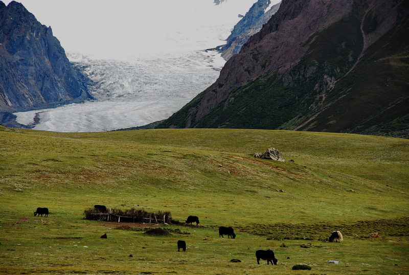 dsc_0287.jpg
