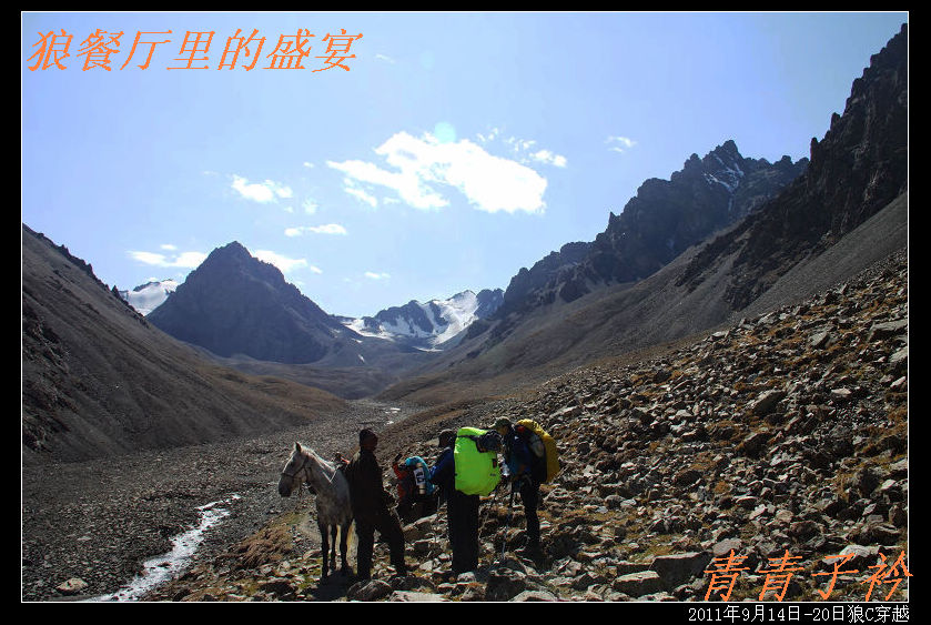 img_8547.jpg