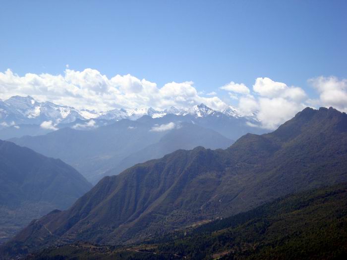 dsc08242.jpg
